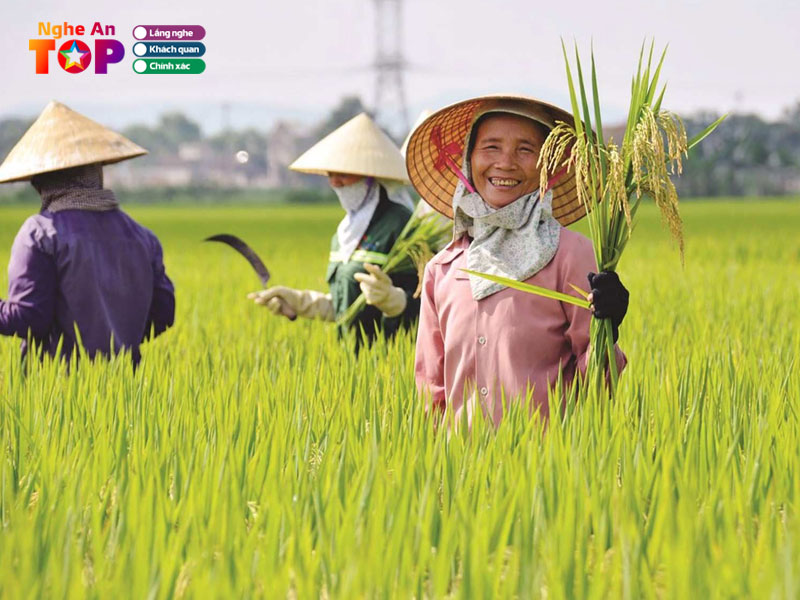 Anh-ve-tham-que-em-ngheantoplist