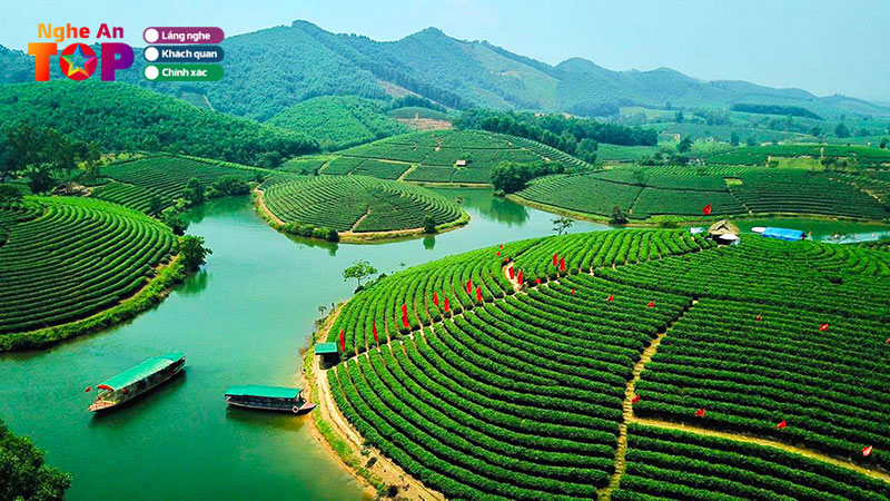 doi-che-thanh-chuong-oc-dao-xanh-ky-thu-giua-long-xu-nghe-ngheantoplist