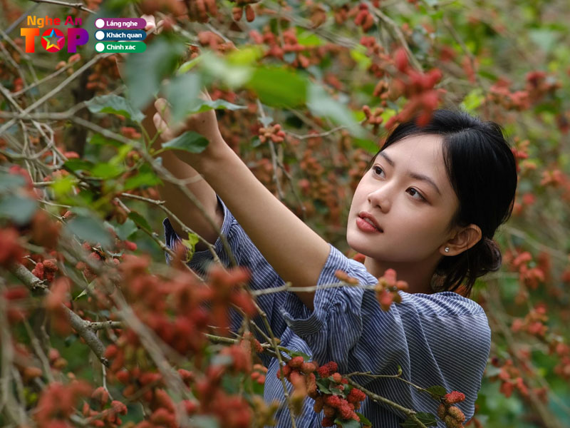 Khuc-hat-que-anh-ngheantoplist