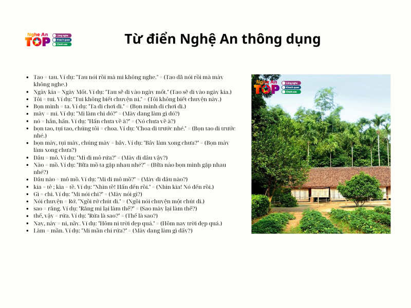 Tu-dien-nghe-an-thong-dung-nhat