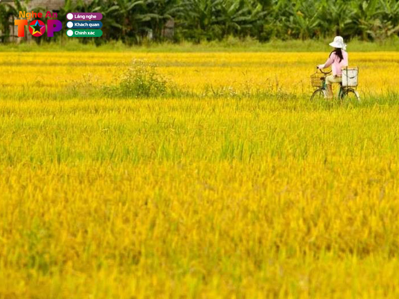 Vi-dam-thuong-ngheantoplist