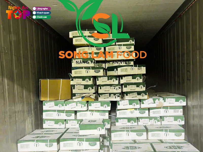 Tong-kho-thuc-pham-song-lam-foods-ngheantoplist