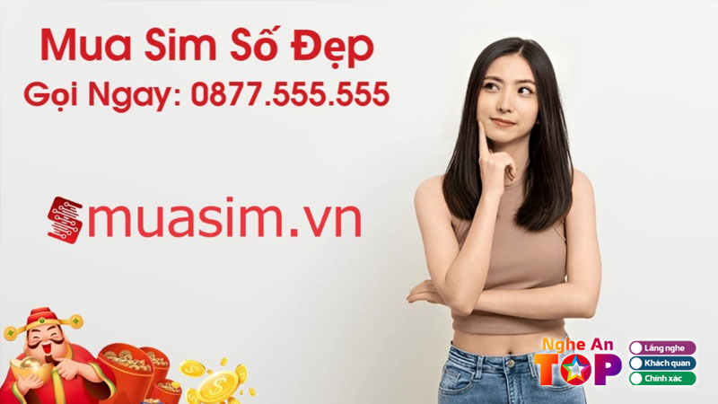 Ly-do-nhieu-nguoi-ua-chuong-sim-phong-thuy-ngheantoplist