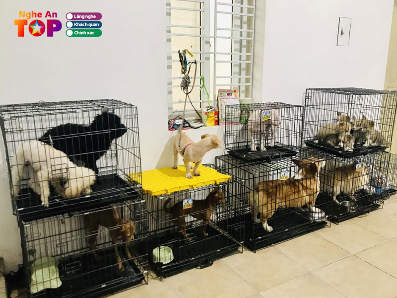 Phong-kham-thu-y-ecopet247-ngheantoplist