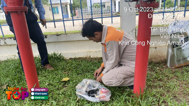 Quy-trinh-diet-chuot-tai-pest-kill-247-ngheantoplist