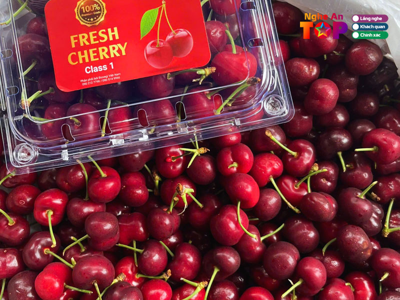 Biovegi-ngheantoplist