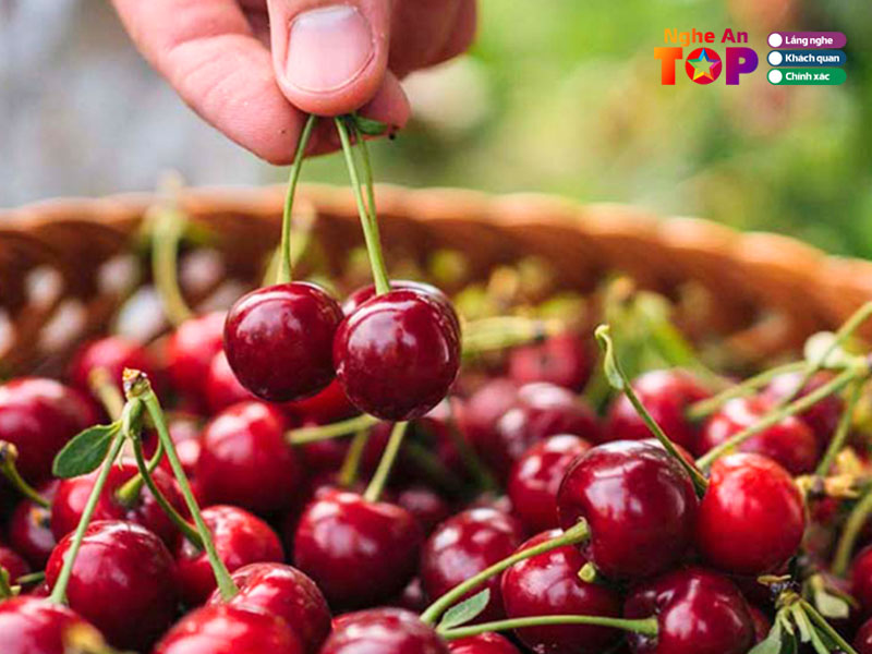 Lotte-mart-ngheantoplist