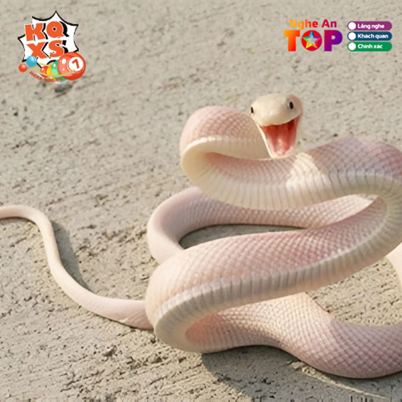 Nhung-truong-hop-nam-mo-thay-ran-pho-bien-nhat-ngheantoplist