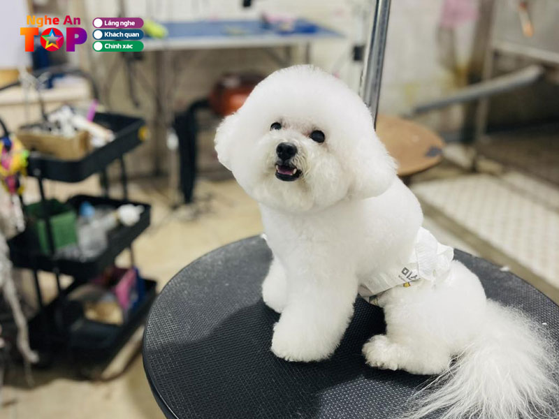 Phong-kham-thu-y-ecopet247-ngheantoplist