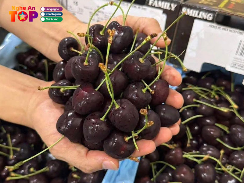 Shop-hoa-qua-xanh-ngheantoplist