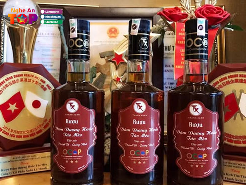 Go-vinh-ngheantoplist