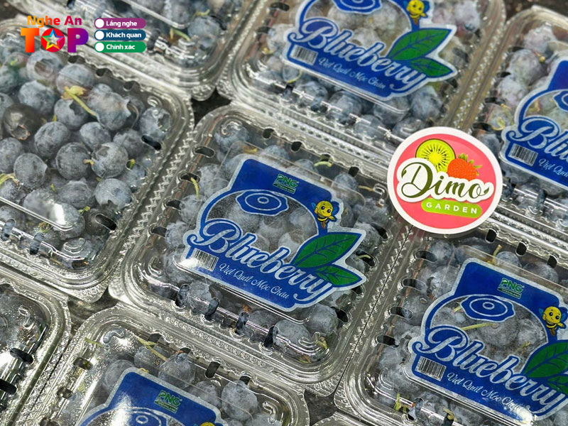 Dimo-garden-ngheantoplist