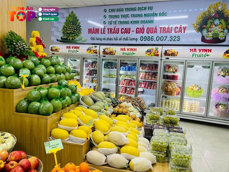 Ha-vinh-fruits-ngheantoplist