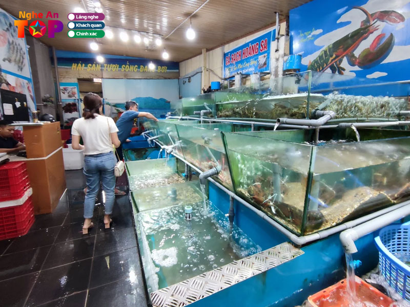 Hai-san-hoang-sa-ngheantoplist