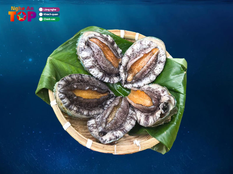 Hai-san-kien-ngheantoplist