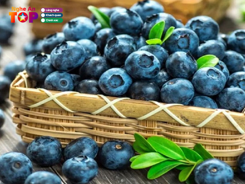 Ngon-fruit-ngheantoplist