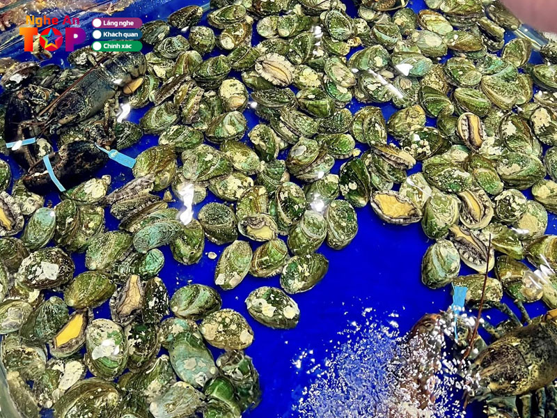 Nha-hang-hai-san-dai-duong-ngheantoplist