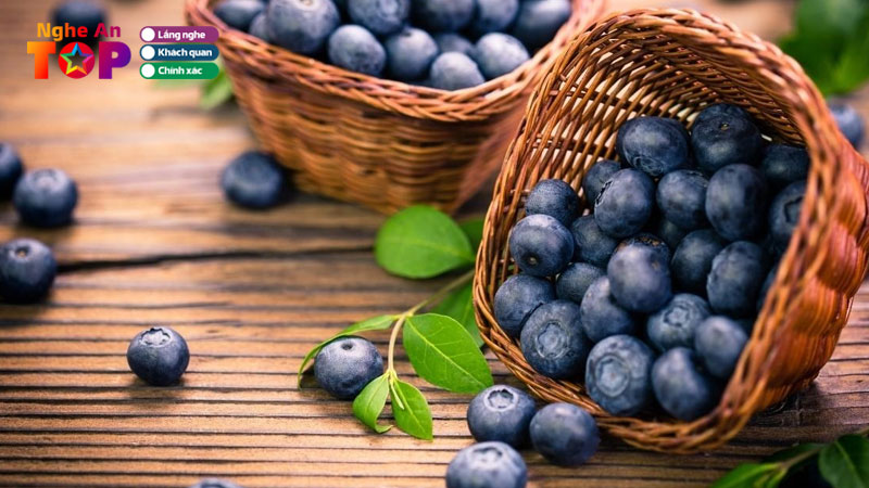 Top-10-dia-chi-ban-viet-quat-tai-nghe-an-cuc-tuoi-ngon-gia-tot-ngheantoplist