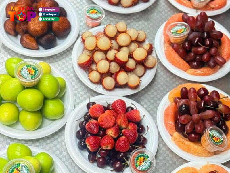 Toto-fruit-ngheantoplist