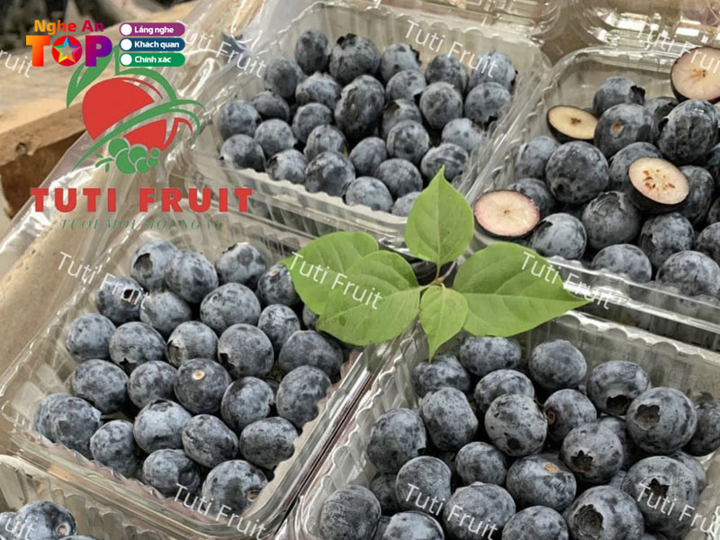 Tuti-fruit-ngheantoplist