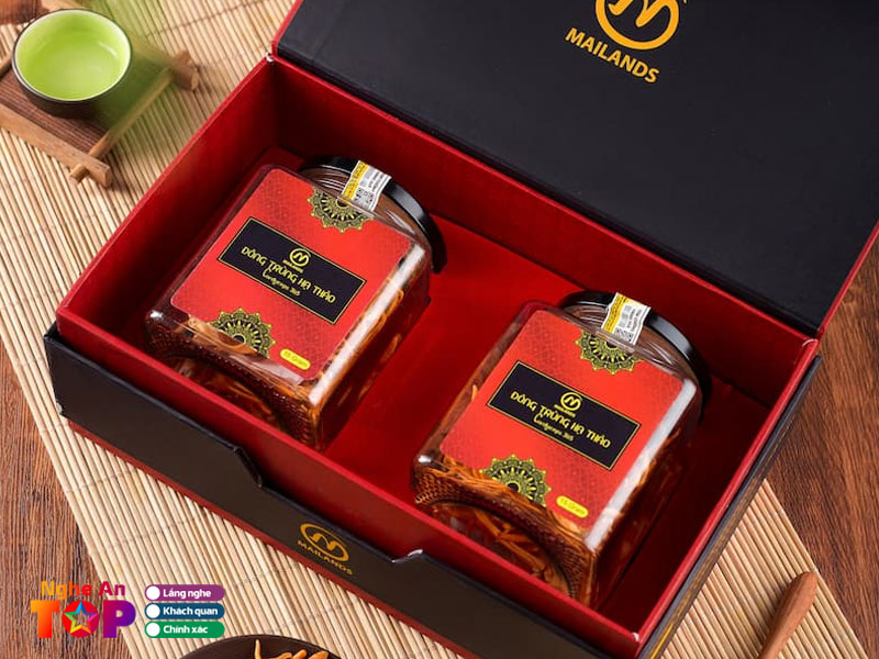 Dong-trung-ha-thao-mailands-ngheantoplist