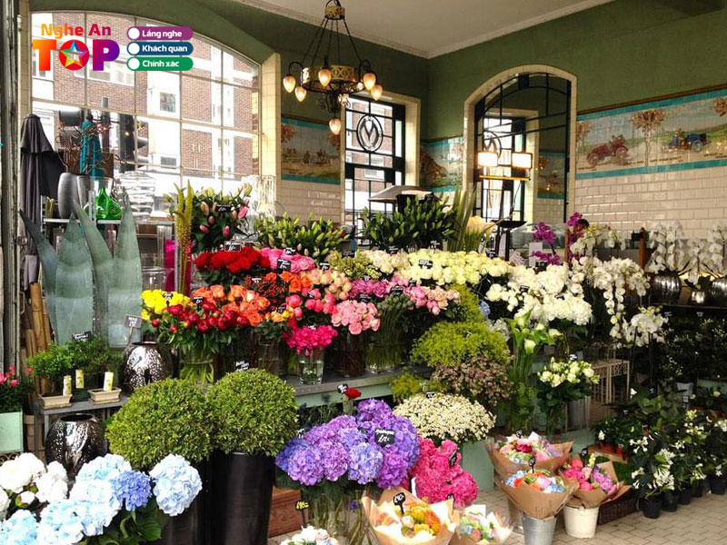 Hoa-co-may-ngheantoplist