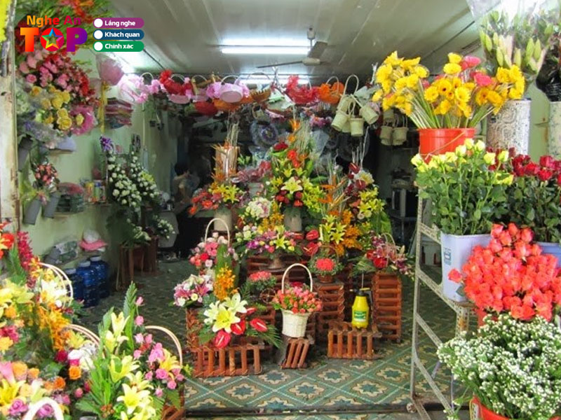 Hoa-tuoi-quynh-luu-ngheantoplist