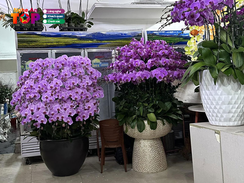 Roses-garden-ngheantoplist