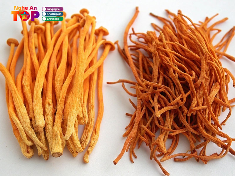 Shop-dong-trung-ha-thao-cordy-ngheantoplist