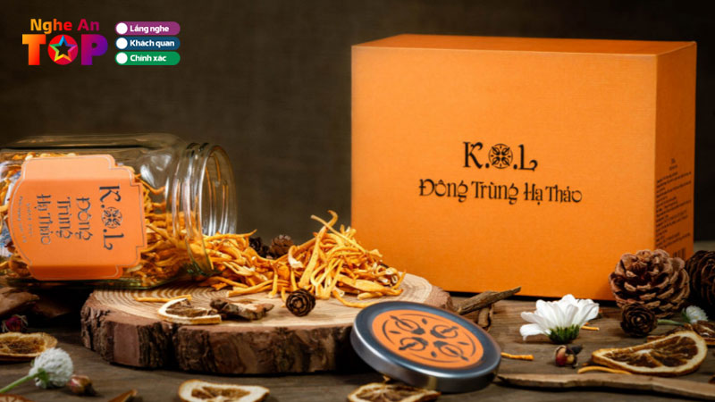 Top-5-dia-chi-ban-dong-trung-ha-thao-tai-nghe-an-uy-tin-chat-luong-ngheantoplist