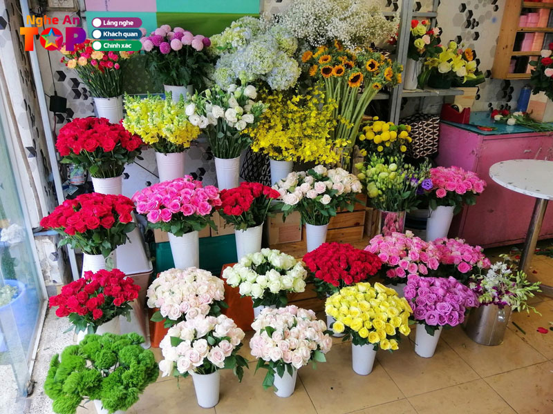 An-nhien-flower-ngheantoplist