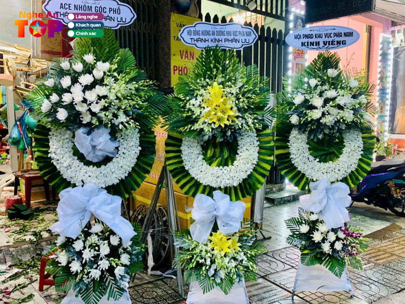 Hoa-nha-phuong-ngheantoplist