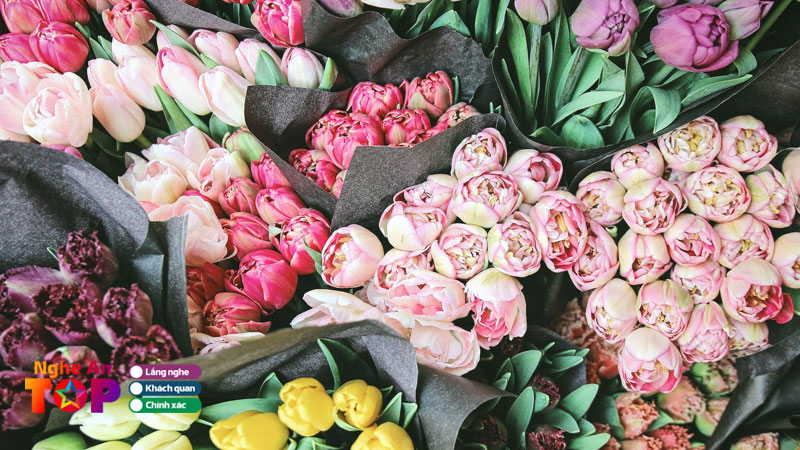 Hoa-tuoi-tai-nghi-loc-nghe-an-ngheantoplist