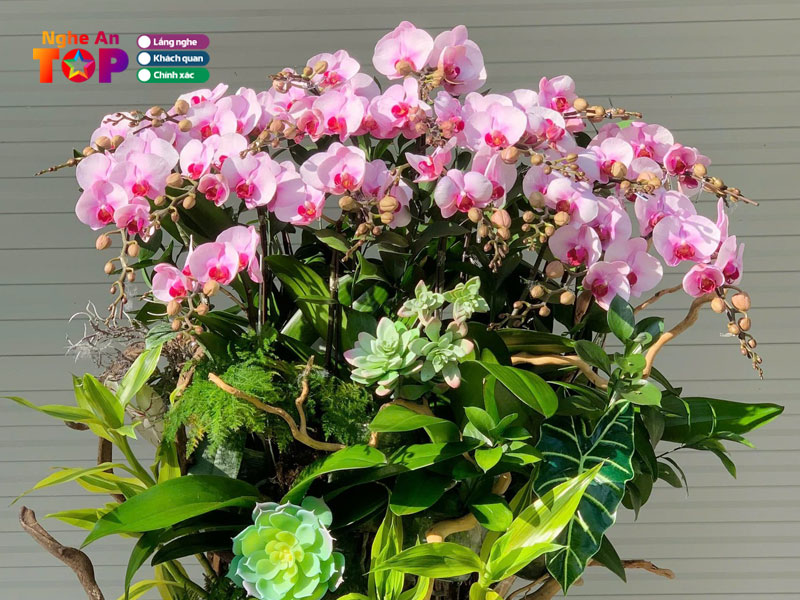 Roses-garden-ngheantoplist