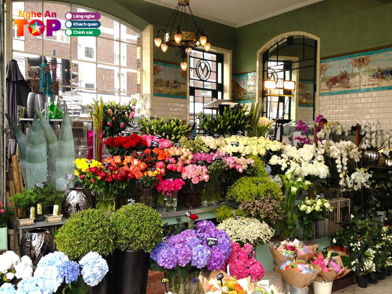 Tiem-hoa-co-may-ngheantoplist