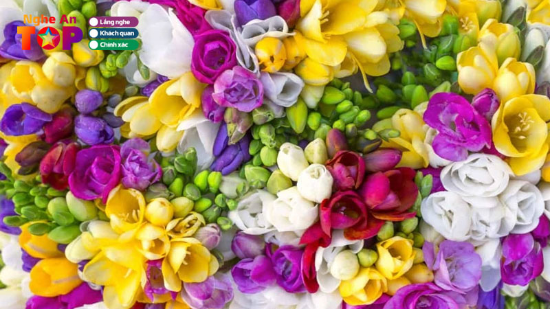 Top-10-tiem-hoa-tuoi-tai-nghia-dan-nghe-an-uy-tin-du-loai-ngheantoplist