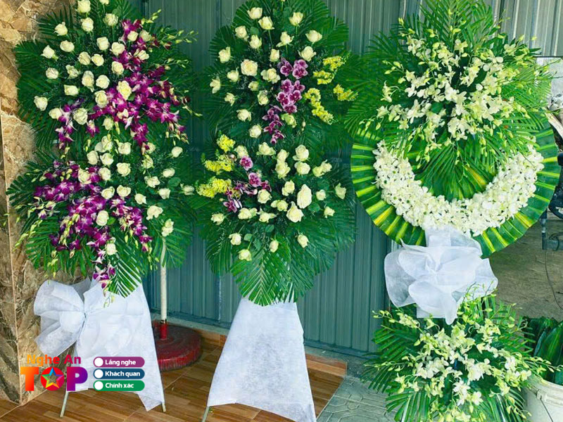 Hong-anh-flower-ngheantoplist