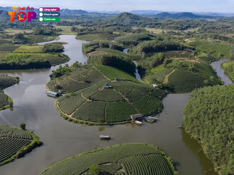 Dao-che-thanh-chuong-ngheantoplist