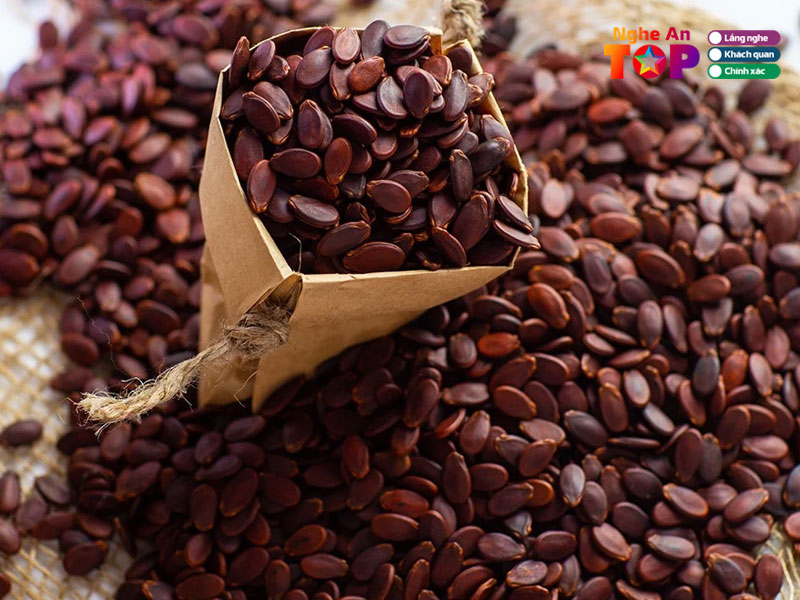 Sieu-thi-lotte-ngheantoplist