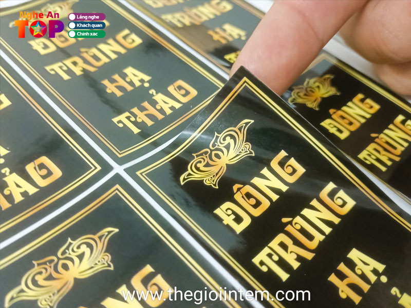 The-gioi-in-tem-ngheantoplist