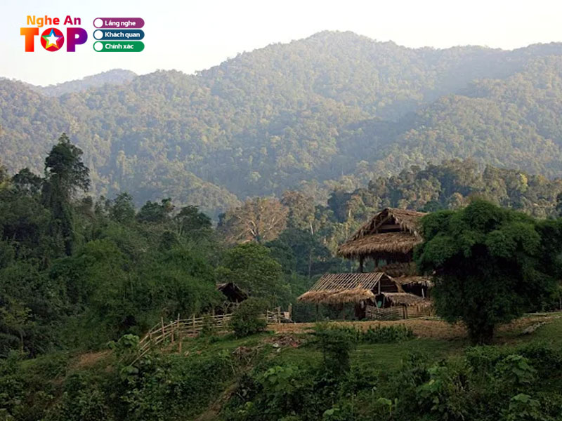 Vuon-quoc-gia-pu-mat-ngheantoplist