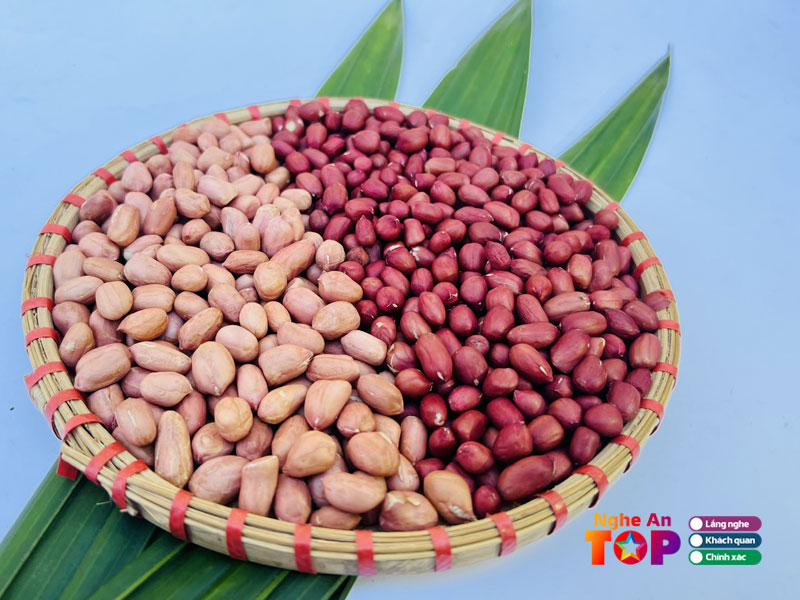 Cong-ty-co-phan-binh-minh-vang-vina-ngheantoplist